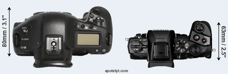 Compare 1D Mark III versus E-M1 top