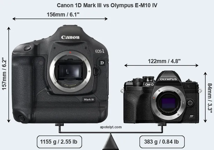 Size Canon 1D Mark III vs Olympus E-M10 IV