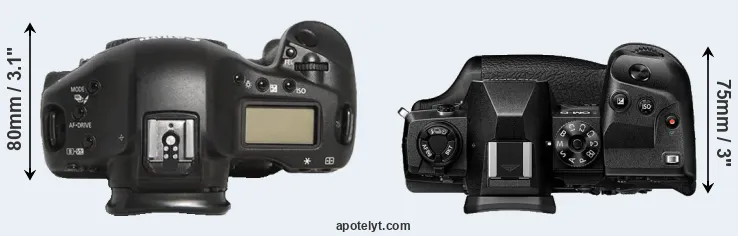 Compare 1D Mark III versus E-M1X top