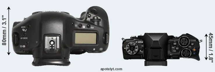 Compare 1D Mark III versus E-M5 II top