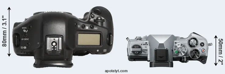 Compare 1D Mark III versus E-M5 III top