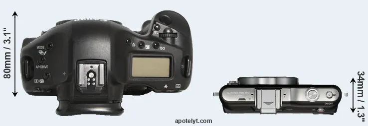 Compare 1D Mark III versus E-PM1 top