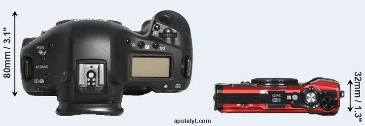 Compare 1D Mark III versus TG-5 top