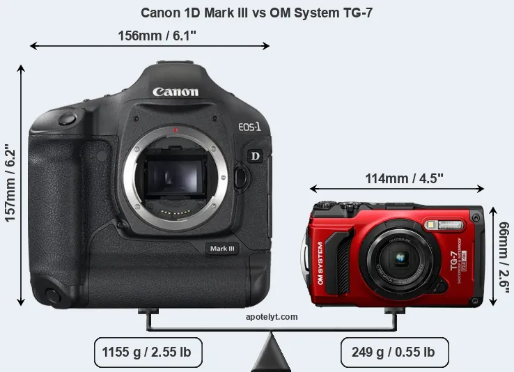 Size Canon 1D Mark III vs OM System TG-7