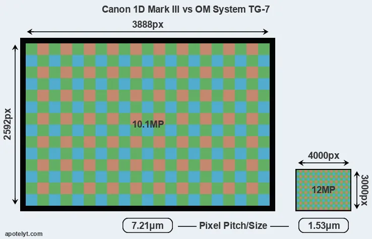1D Mark III versus TG-7 MP