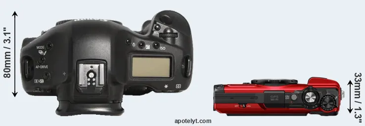 Compare 1D Mark III versus TG-7 top