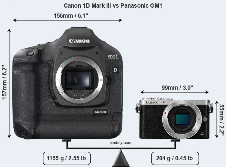 Size Canon 1D Mark III vs Panasonic GM1