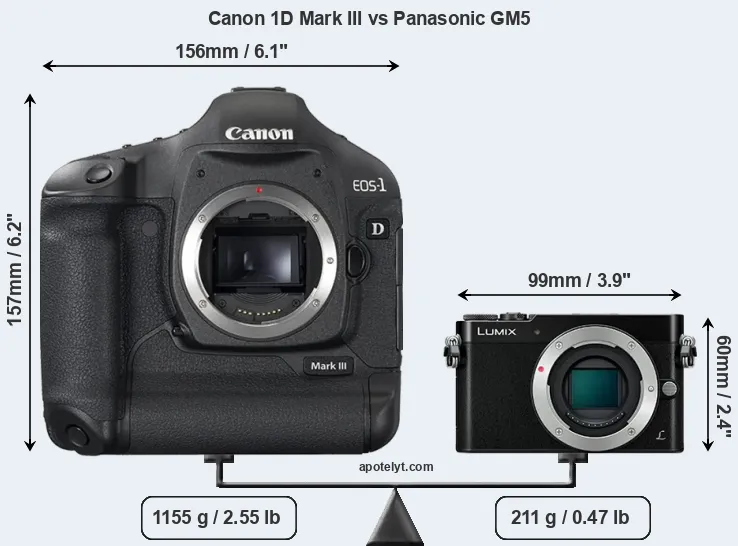 Size Canon 1D Mark III vs Panasonic GM5