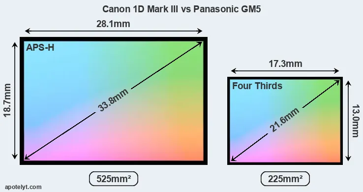 Canon 1D Mark III and Panasonic GM5 sensor measures