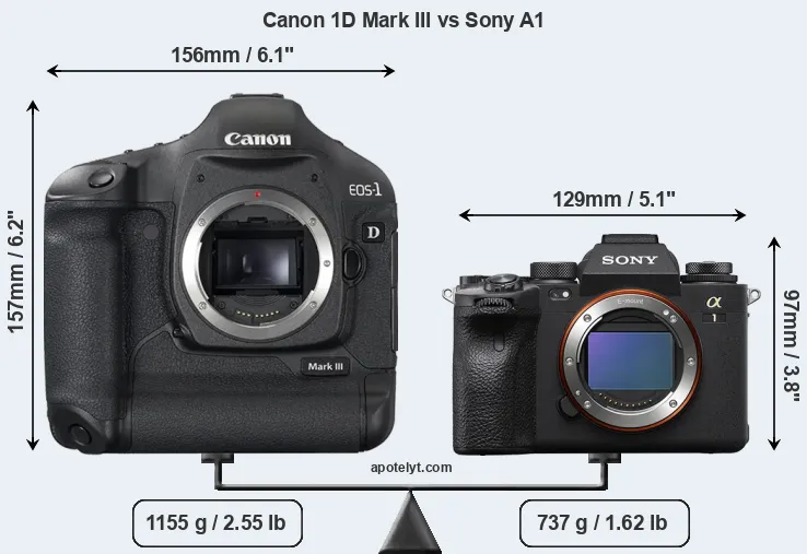 Size Canon 1D Mark III vs Sony A1