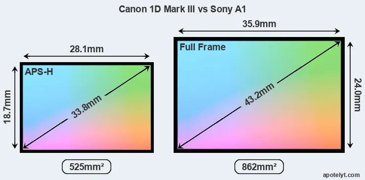 Canon 1D Mark III and Sony A1 sensor measures