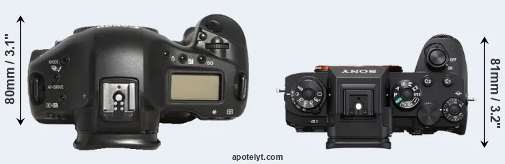 Compare 1D Mark III versus A1 top