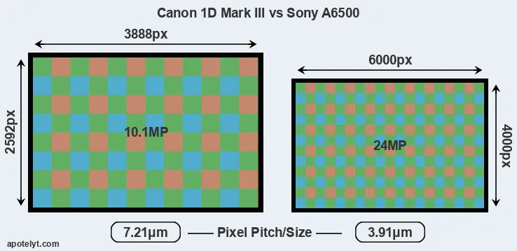 1D Mark III versus A6500 MP