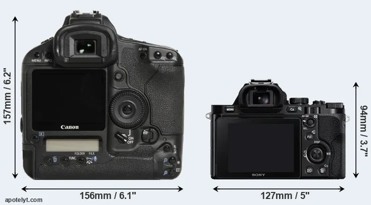 Comparison 1D Mark III or A7 rear