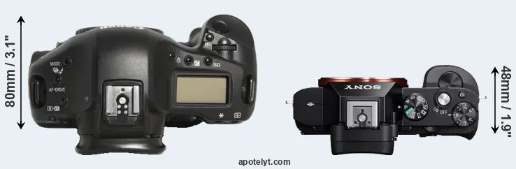 Compare 1D Mark III versus A7 top