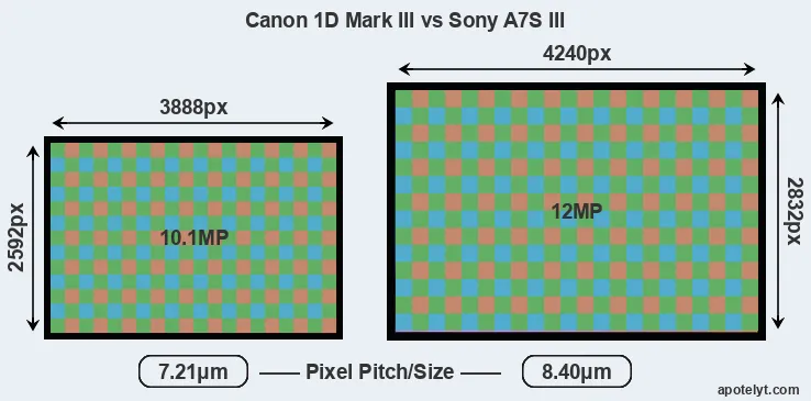 1D Mark III versus A7S III MP
