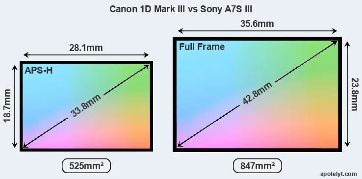 Canon 1D Mark III and Sony A7S III sensor measures
