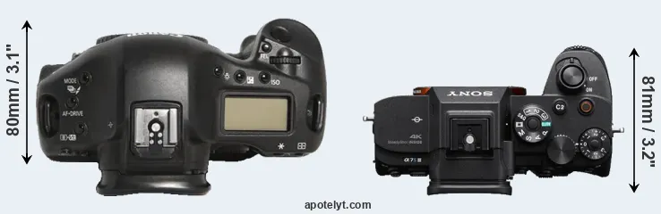 Compare 1D Mark III versus A7S III top