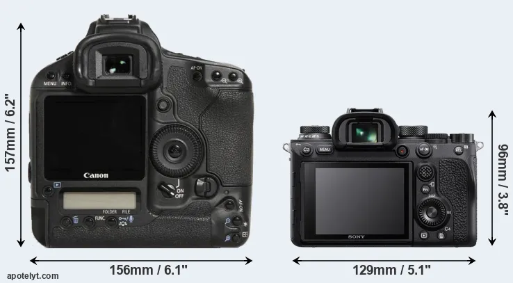 Comparison 1D Mark III or A9 II rear