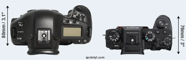 Compare 1D Mark III versus A9 II top