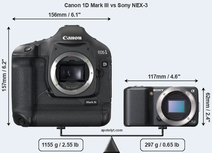 Size Canon 1D Mark III vs Sony NEX-3