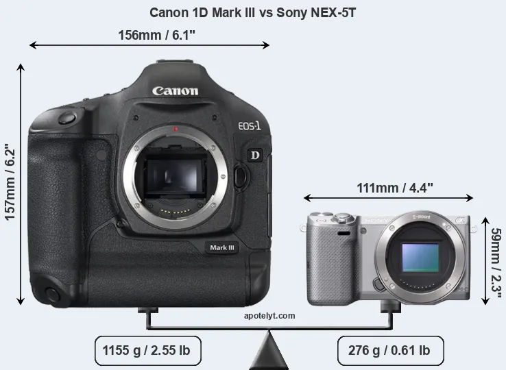 Size Canon 1D Mark III vs Sony NEX-5T