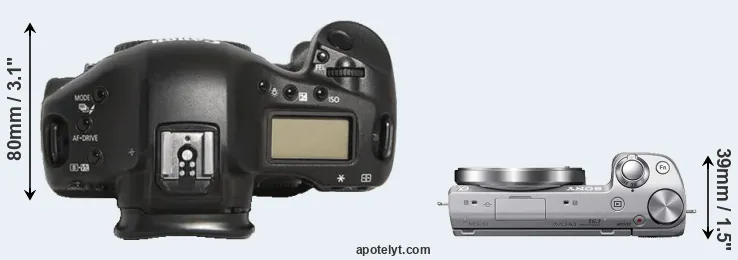 Compare 1D Mark III versus NEX-5T top