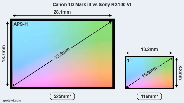 Canon 1D Mark III and Sony RX100 VI sensor measures