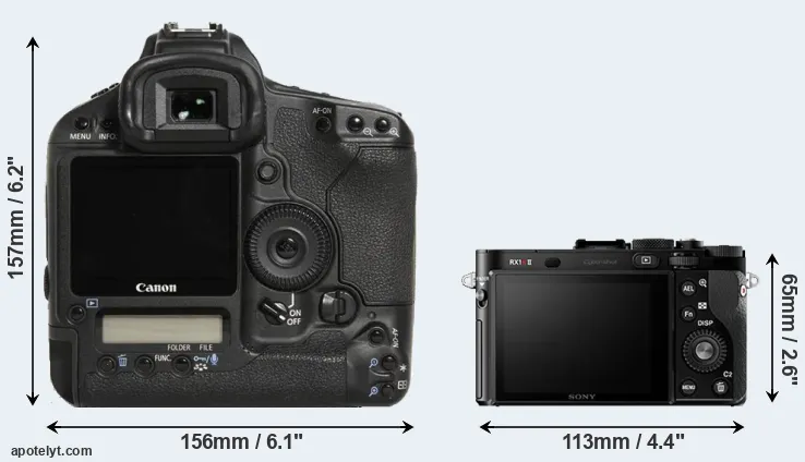 Comparison 1D Mark III or RX1R II rear