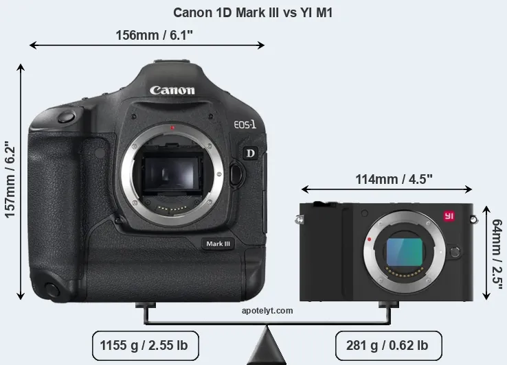 Size Canon 1D Mark III vs YI M1