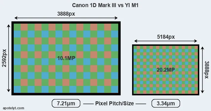 1D Mark III versus M1 MP