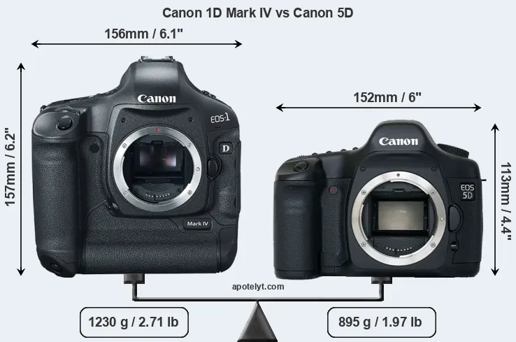 Size Canon 1D Mark IV vs Canon 5D
