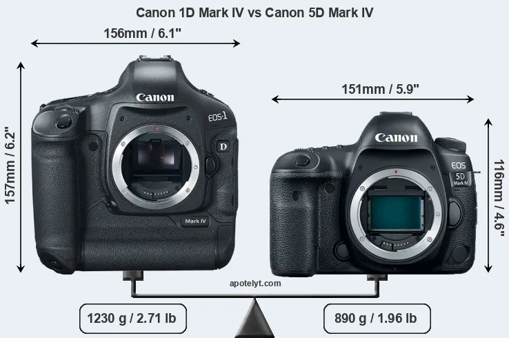 Size Canon 1D Mark IV vs Canon 5D Mark IV
