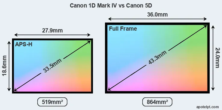 Canon 1D Mark IV and Canon 5D sensor measures