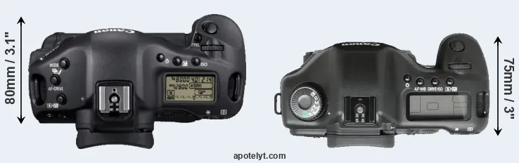 Compare 1D Mark IV versus 5D top