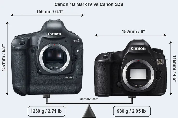 Size Canon 1D Mark IV vs Canon 5DS