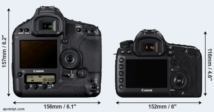Comparison 1D Mark IV or 5DS rear