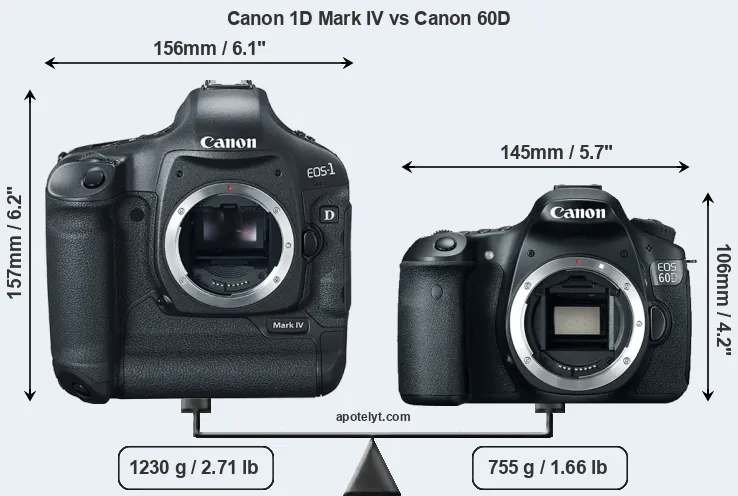 Size Canon 1D Mark IV vs Canon 60D