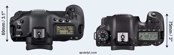 Compare 1D Mark IV versus 6D Mark II top