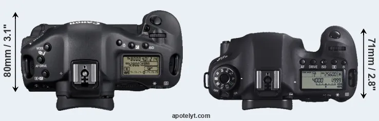Compare 1D Mark IV versus 6D top