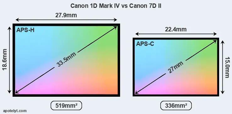 Canon 1D Mark IV and Canon 7D II sensor measures