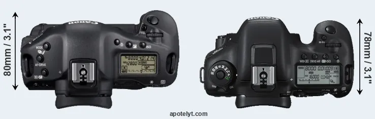 Compare 1D Mark IV versus 7D Mark II top