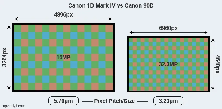 1D Mark IV versus 90D MP