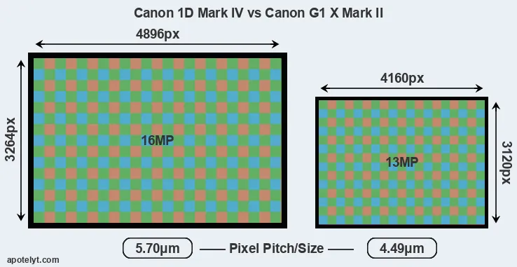 1D Mark IV versus G1X Mark II MP