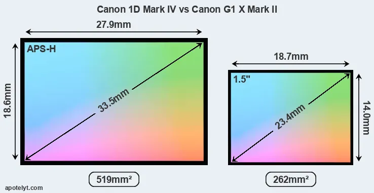 Canon 1D Mark IV and Canon G1 X Mark II sensor measures