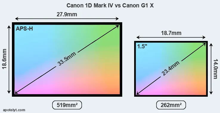 Canon 1D Mark IV and Canon G1 X sensor measures