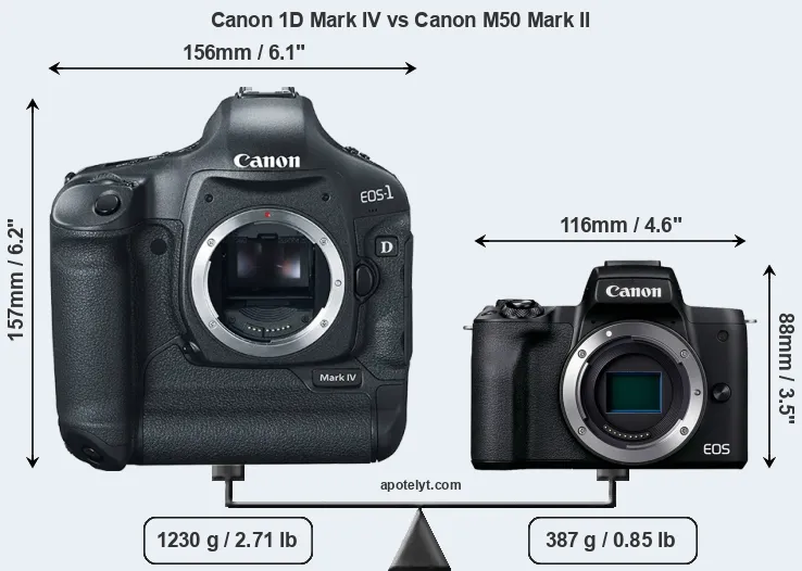 Size Canon 1D Mark IV vs Canon M50 Mark II