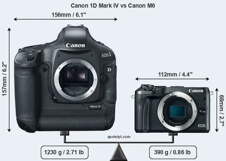 Size Canon 1D Mark IV vs Canon M6