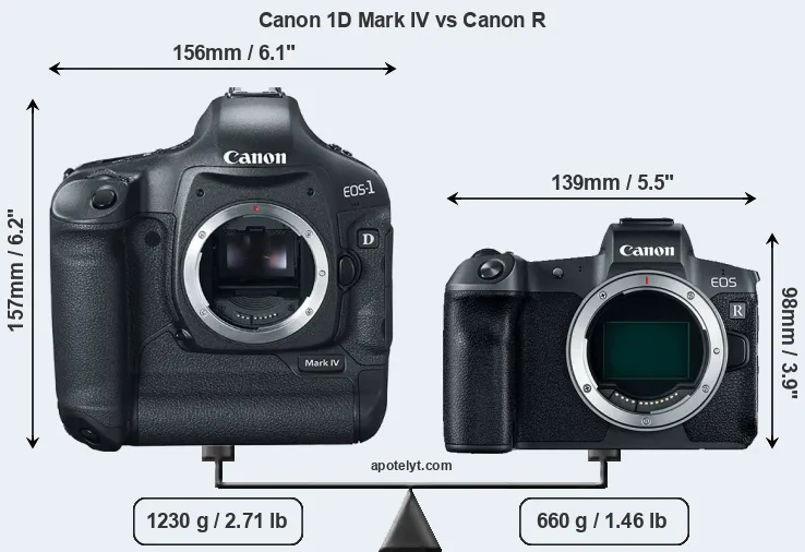 Size Canon 1D Mark IV vs Canon R