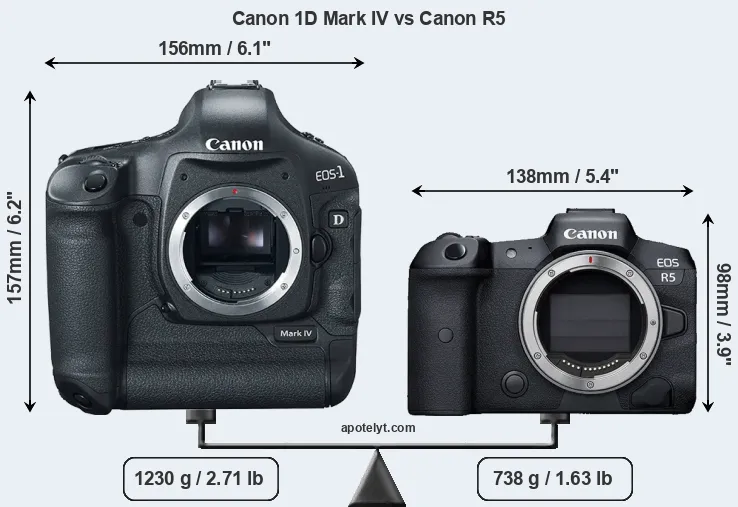 Size Canon 1D Mark IV vs Canon R5